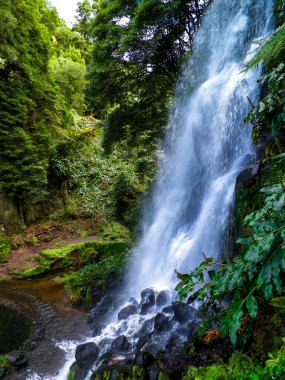 Azores 'de inanılmaz bir şelale. Sao Miguel Adası. Doğanın güzelliği.