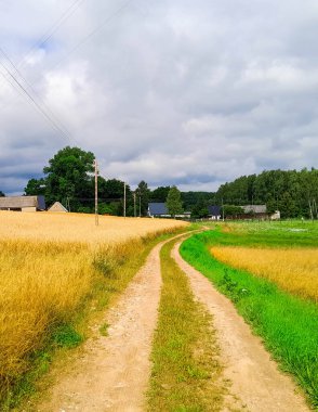 Kashubia 'da kara bulutlar var. Fırtına yaklaşıyor. Kuzey Polonya 'nın şaşırtıcı doğası.