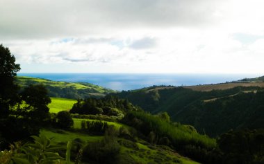 Tipik Azores manzarası. Arka planda doğal yeşil arazi tepeleri ve deniz. Doğanın güzelliği konsepti.