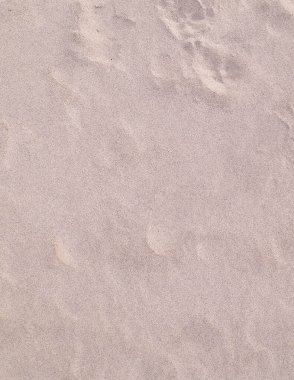 Doğal bir arkaplan olarak kumu kapat.