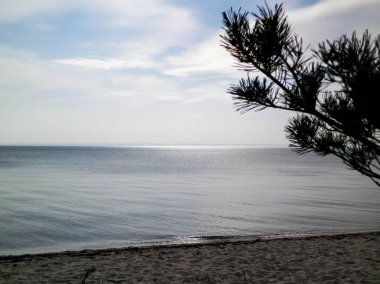 Hel Peninsula 'dan Baltık deniz kıyıları - Hel şehrine yakın plaj. Baltık Denizi ve Gdansk Körfezi 'nin güzel doğası. Seyahat ve doğa kavramı.