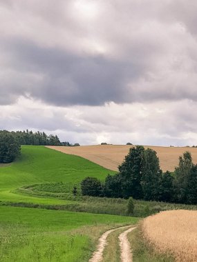 Kashubia 'daki tarlaların üzerindeki kara bulutlar. Yağmur yağacak. Kuzey Polonya 'nın güzel doğası.