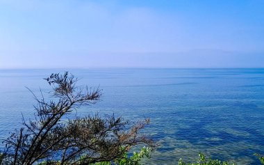 Seascape of Baltic Sea crystal water, seaweed and sea bottom. Copy space over horizon.