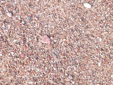 Kum, çakıl ve deniz kenarındaki küçük deniz kabukları doğal bir arka plan. Boşluğu kopyala.