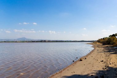 Larnaka Gölü, Kıbrıs. Larnaka yakınlarındaki Salt Gölü 'nde. Flamingo kuşlarının doğal yaşam alanı.