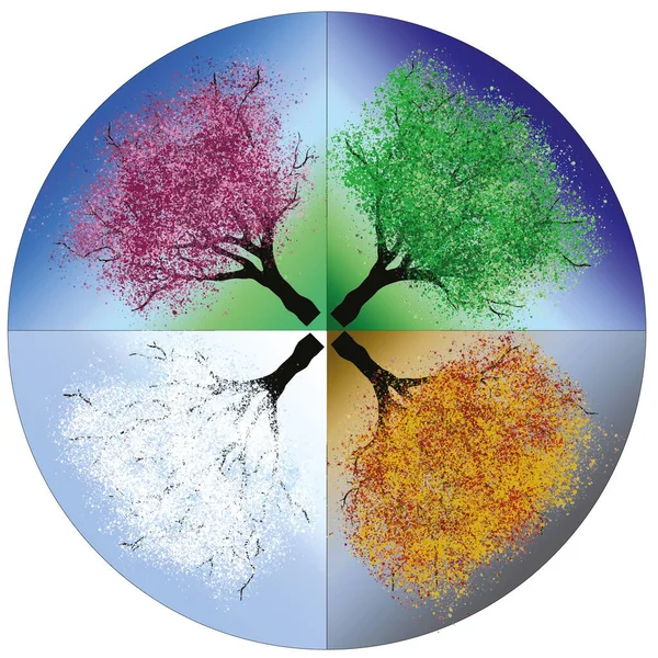 vector animation of four seasons, tree in all forms