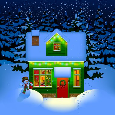 Gece Noel ev