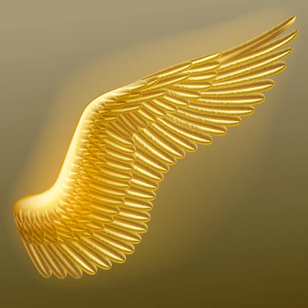 Goldflügel — Stockvektor