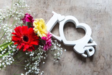 arka plan üzerinde güzel Gerbera çiçekleri yakın çekim