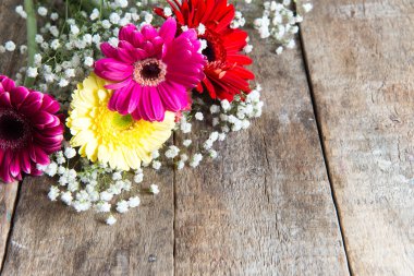 arka plan üzerinde güzel Gerbera çiçekleri yakın çekim