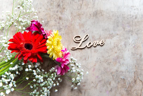 Vackra Gerbera Blommor Bakgrund Närbild — Stockfoto