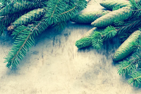 Fundo de Natal com ramo de abeto — Fotografia de Stock