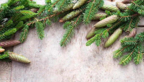 Noel arka plan köknar ağacı dalı ile — Stok fotoğraf