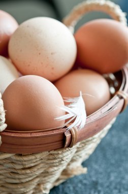 yumurta yakın çekim