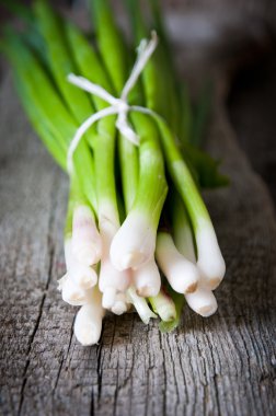 Green onions clipart