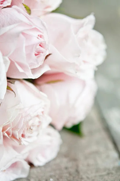 Bunch of pink roses close up — Stock Photo, Image