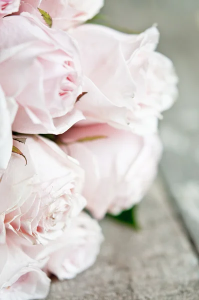 Rózsaszín rózsa csokor közelről — Stock Fotó