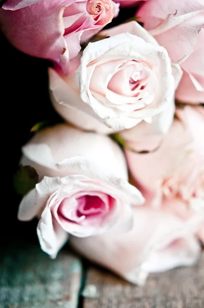 束粉色玫瑰关闭 — 图库照片
