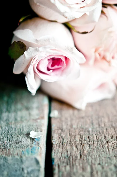 Bando de rosas cor-de-rosa de perto — Fotografia de Stock