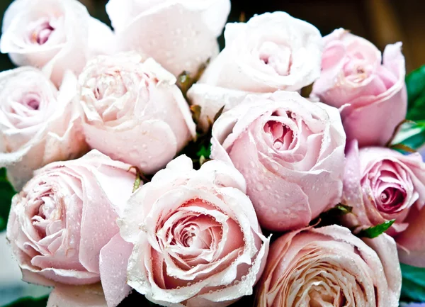 Bos van roze rozen close-up — Stockfoto