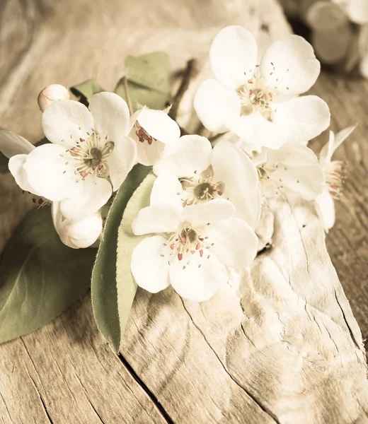Blossom Apple Flowers Wooden Background — Stock Photo, Image