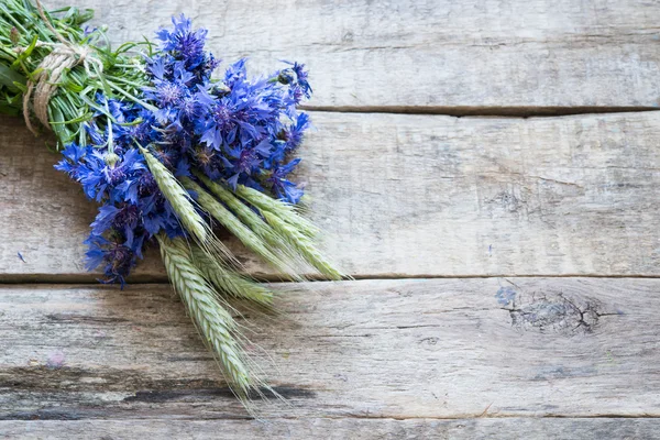 Cornflowers Bando Fundo Close — Fotografia de Stock