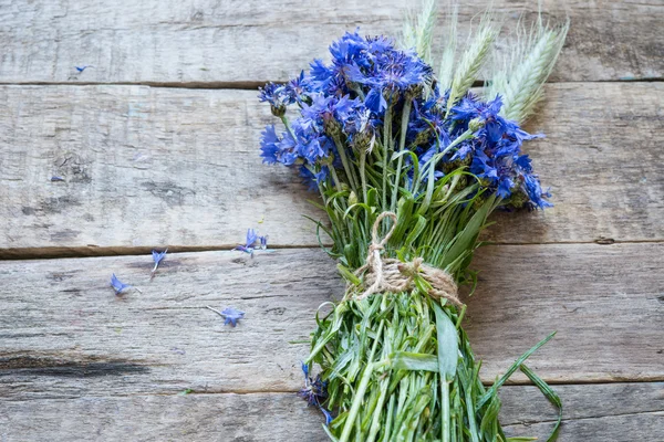 Kornblumenstrauß Auf Hintergrund Nahaufnahme — Stockfoto