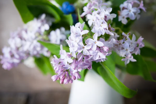 Lilac Vase Background Close — Stock Photo, Image
