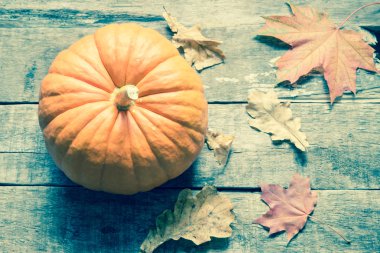 Arka plan üzerinde turuncu kabak yakın çekim