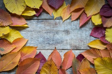 Ahşap bir arka planda sonbahar yaprakları