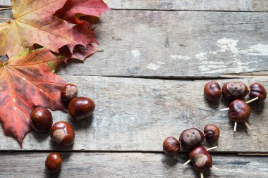 Kestane arka plan üzerinde kahverengi, yakın çekim