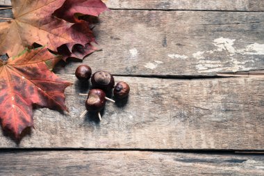 Kestane arka plan üzerinde kahverengi, yakın çekim