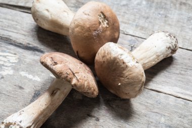 Ahşap arka planda Boletus mantarları 