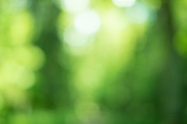 Doğal Bokeh, vintage tarzı bulanık bokeh