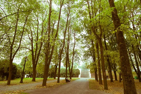 Parque Otoño Con Árboles Fondo —  Fotos de Stock