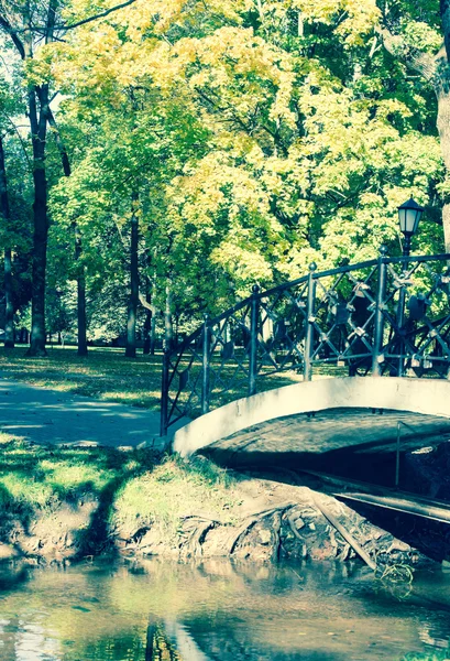 Parque Otoño Con Árboles Fondo —  Fotos de Stock