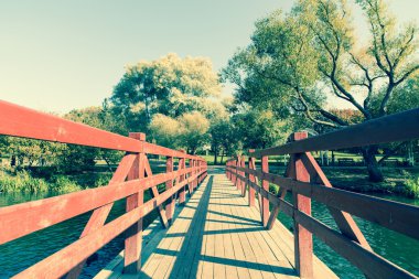 Sarı ağaçlar ve mavi gökyüzü ile sonbahar arka plan