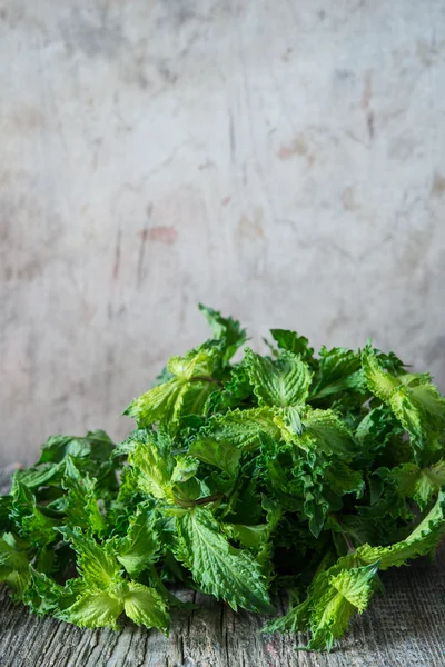Pepper Mint Background Close — Stock Photo, Image