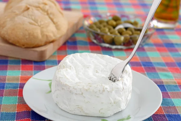 Queso fresco — Foto de Stock