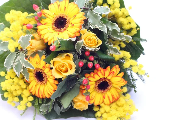 Banda žlutých květin a mimózy — Stock fotografie