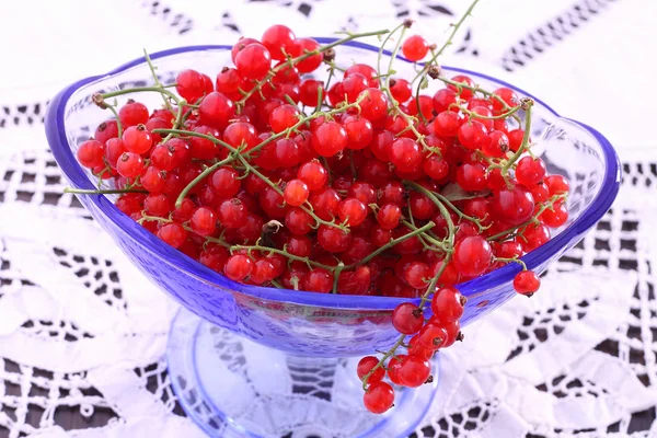 Rote Johannisbeere in blauer Glasschale — Stockfoto