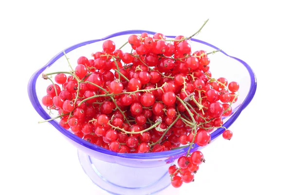 Cassis rouge dans un bol en verre bleu — Photo