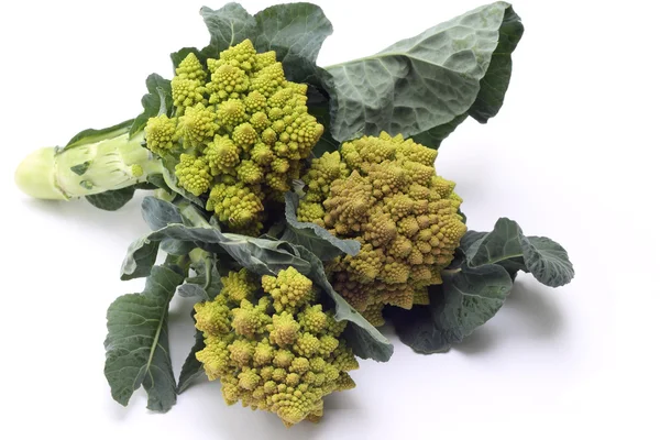 Romanesco broccoli or Roman cauliflower on white — Stock Photo, Image