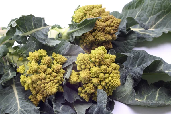 Brocoli romain ou chou-fleur romain sur blanc — Photo