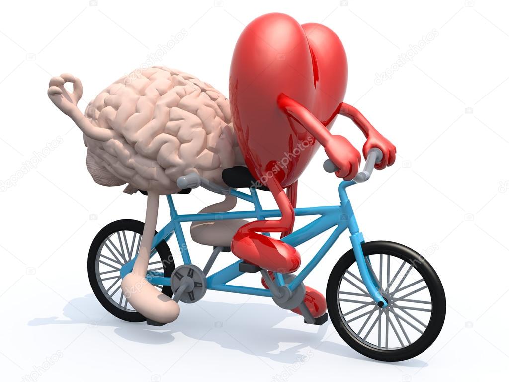 сердце и разум. мозг и сердце спорят. мозг человека арт. мозг с сердечком. мозг с сердечком.