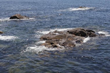 Sahildeki deniz dalgaları