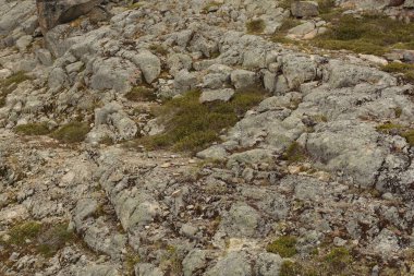 Dağlardaki kayalar, doğa