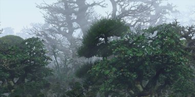 3D güzel manzaranın gösterimi