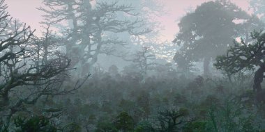 3D güzel manzaranın gösterimi