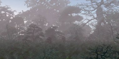 3D güzel manzaranın gösterimi